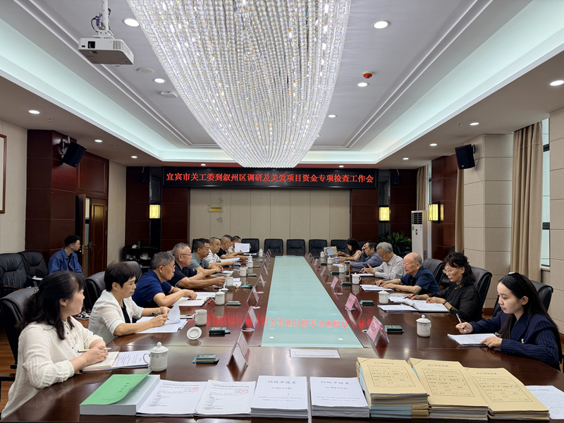 宜宾市关工委到叙州区调研及开展关爱项目资金专项检查.png
